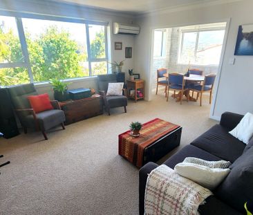 17 Signal Hill Road, Opoho, Dunedin City - Photo 4