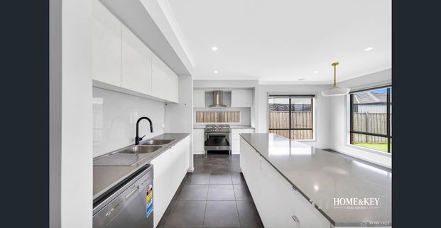 Spacious & Modern 4 Bedroom Home / Huge Electricity Savings $$$$ - Photo 1