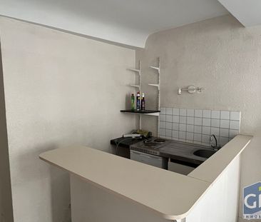 Location Appartement 1 pièce 19m² - Photo 6