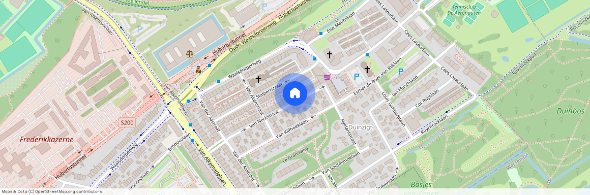 Van Neckstraat 102, Duinzigt, 2597SH, Den Haag