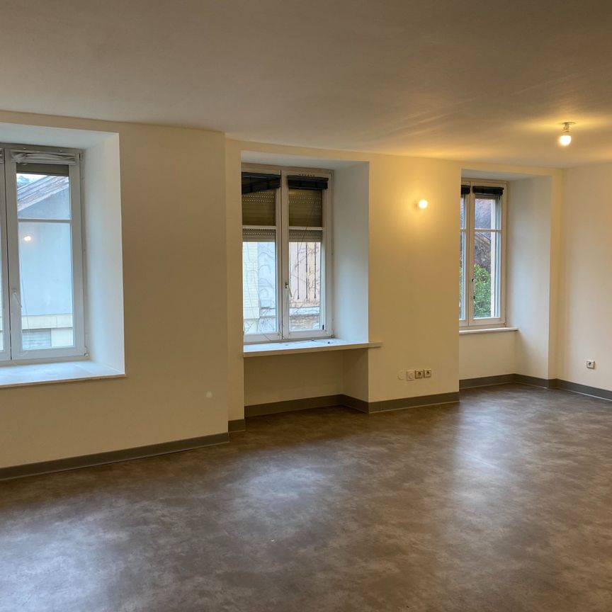 Location Appartement 4 pièces 98m² ALTKIRCH 68130 - Photo 1