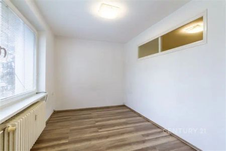 Pronájem bytu 2+1, 39 m - Fotografie 4