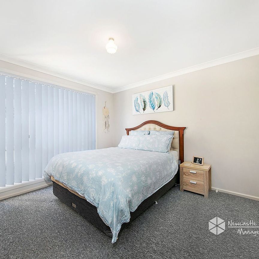 3/2 Teramby Road, Hamilton - Photo 1