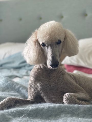 Mermaid Waters - Photo 3