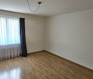 die perfekte Wohnung in der Nähe des Sees, gemütlicher Terrasse zum... - Photo 3