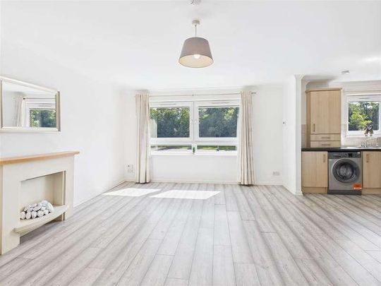 Eaglesham Court, Hairmyres, East Kilbride, G75 - Photo 1