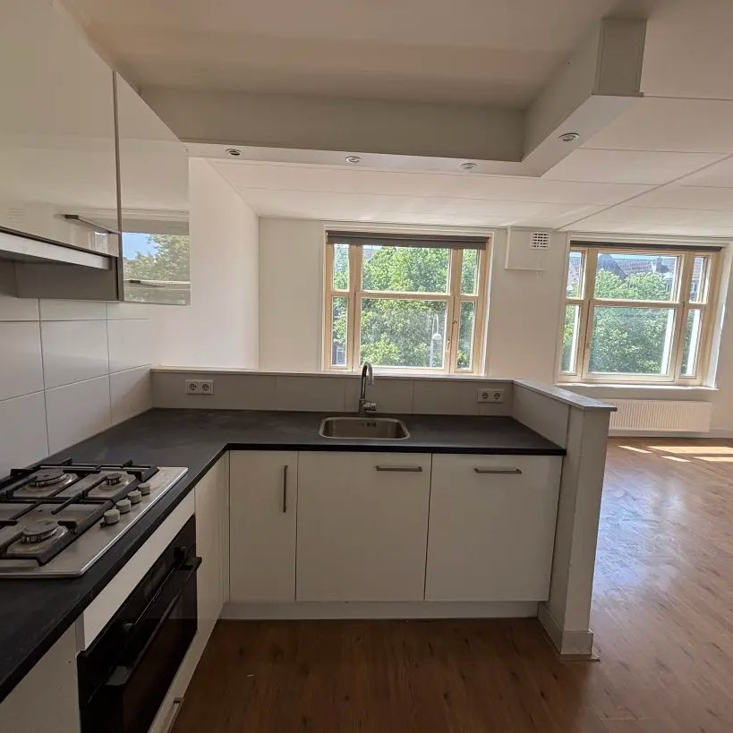 Linnaeusstraat 217 2 - Photo 1