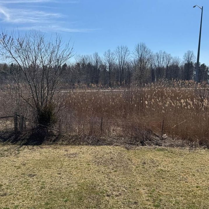 For Lease - 260 Esther Crescent, Thorold, Ontario - Photo 1