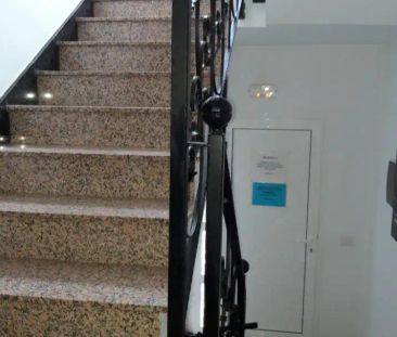 Ingenio - Foto 5