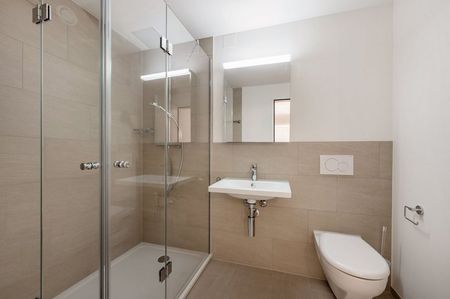 3 individuelle Wohneinheiten - LIVING AARE in Olten - Foto 5