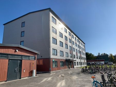 Tvistevägen, Umeå - Photo 2