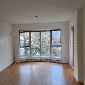 1 bed 1 bath spacious apartment in richmond center - Photo 4