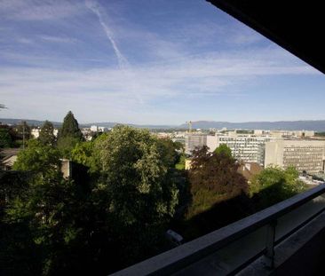 Spacieux appartement de 5 pièces avec balcons à Champel - Photo 6
