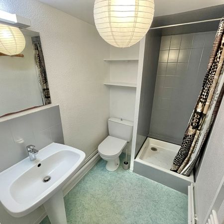 Location Appartement 1 pièce 18m² - Photo 3