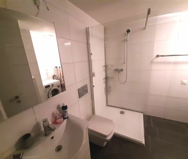 Emplacement idéal, directement sur le Rhin et la frontière avec l’A... - Photo 3