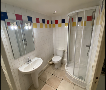 Location Appartement 2 pièces 52m² VILLENEUVE SUR YONNE 89500 - Photo 6