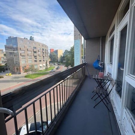 Haagbeuklaan - Photo 3