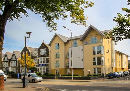 Studio to rent - Photo 2