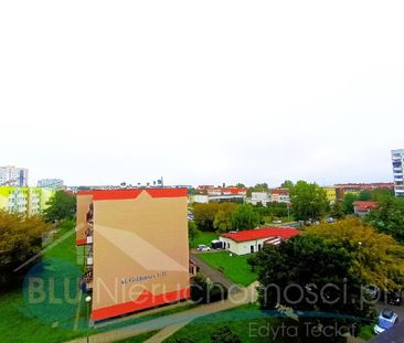 Mieszkanie Głogów Kopernik powierzchnia 34.5 m² C391-WM-96246 - Photo 6