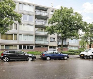 Marco Pololaan 0ong, 3526 Utrecht, Nederland - Foto 2