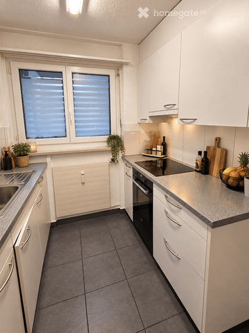 Gemütliche und günstige 2.5 Wohnung für Singles oder Paare (Haustiere erlaubt) - Foto 2