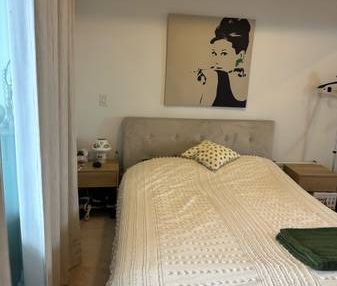 Sublet a fully furnished 1-bed apartment - Photo 4