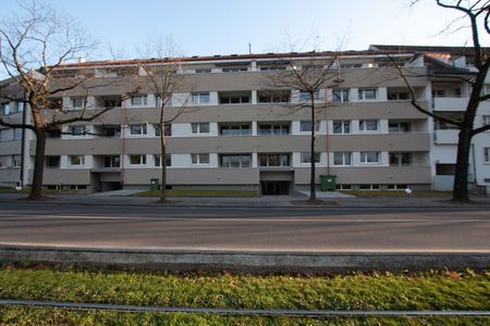Appartement rénové dans un quartier résidentiel calme au milieu d’un magnifique cadre verdoyant - Foto 4