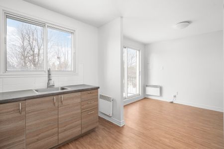 927 Rue Dubuisson, #5 - Photo 2