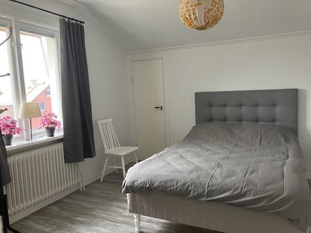 Timmermansgatan, Luleå - Foto 5