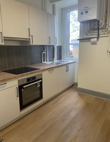 [Le Pin] - Un charmant appartement refait à neuf situé au coeur du Neudorf - Photo 4