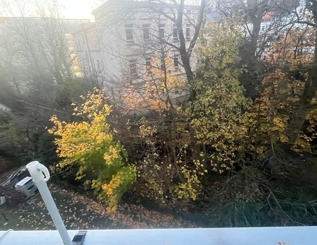 50qm 1-Zimmer-Wohnung, mit Blick auf die Wupper - Photo 1