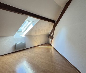 Location Appartement 3 pièces 46m² CLUSES 74300 - Photo 6
