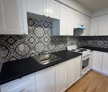 1 CH - 1 SDB - Montréal - $1,250 /mo - Photo 3