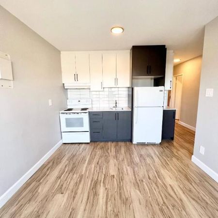 1 CH - 1 SDB - Montréal - $1,300 /mo - Photo 4