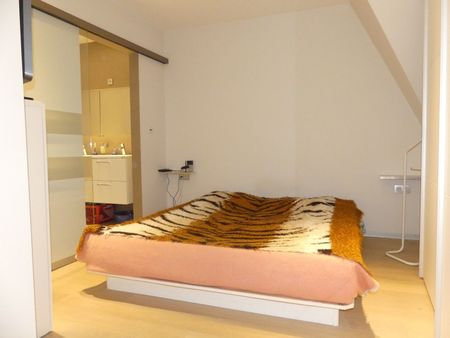 Prachtig gemeubeld dakappartement/penthouse met luxe-afwerking - 1 grote slaapkamer - Foto 4