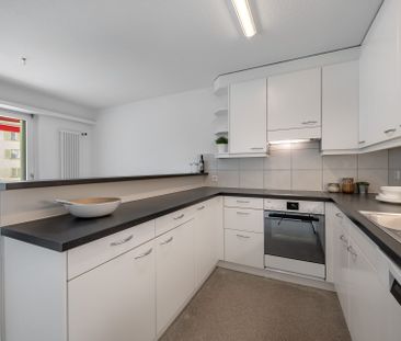 Newly renovated apartment, quiet and centrally located - Photo 6