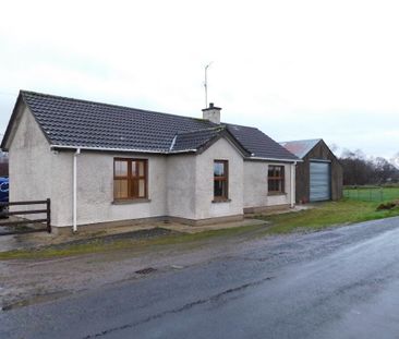 80 Brackey Road, Sixmilecross, Omagh, BT79 9PH - Photo 5