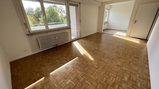 Wohnen am Park; Modernisiertes Wohnglück am Teichweg 17 - Photo 1