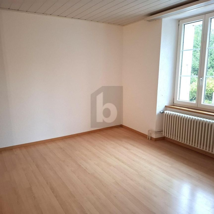 SPACIEUX, EN PLEINE NATURE - Photo 1