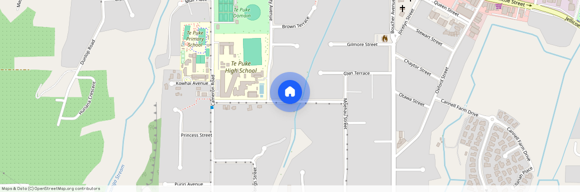 9 Tui Street, Te Puke, Western Bay Of Plenty