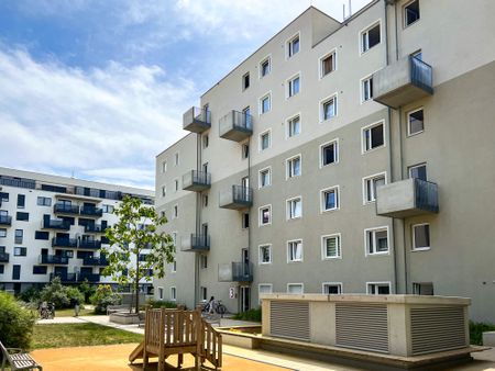 3 Zimmer | Viola Park | verfügbar ab Mai | Balkon - Photo 3