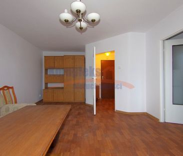 Gumieńce, ul. Hrubieszowska, Szczecin - Zdjęcie 3