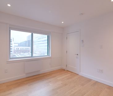 3455 Rue Aylmer - Photo 4