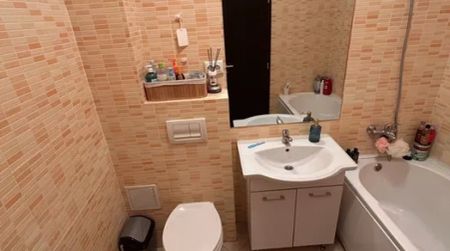 Apartament de inchiriat, 1 camera, decomandat, 30 mp, Pacurari, Rompetrol, Cod 162375 - Photo 2