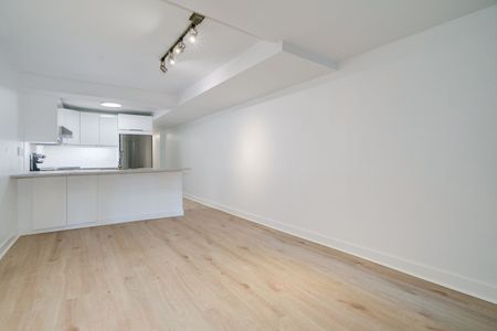 For Lease - 155 Langley Avenue Unit# Lower Level, Toronto, Ontario - Photo 5