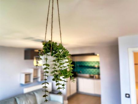 2 bedroom duplex to rent - Photo 3