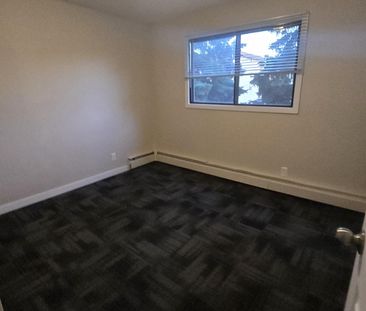 Modern 1 Bedroom Apartment Downtown Available Now - Photo 5