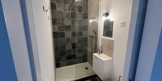 Appartement T1 Chaville à louer - Photo 3