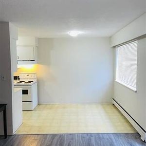 SPACIOUS 1 BDR APT NEAR METROTOWN & TRANSIT WITH HALF SECURITY DEPOSIT - Photo 2