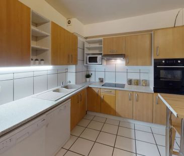 54 boulevard d'Arcole 54, Toulouse - Photo 6